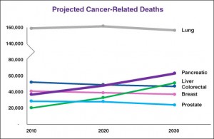 预计-癌症相关死亡- 2014