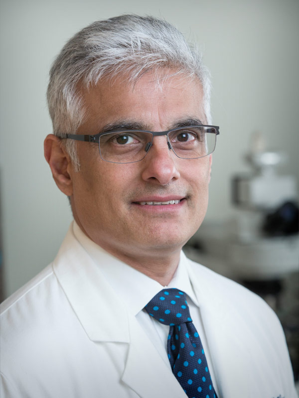 Sunil Hingorani，医学博士