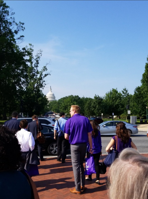 倡导者穿着紫色，因为他们朝着国会大厦飙升。