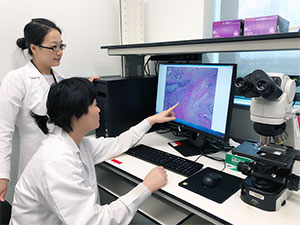 两位研究人员检查胰腺癌肿瘤的扫描图