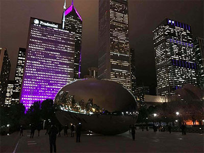 芝加哥在世界胰腺癌日具有紫色的天际线